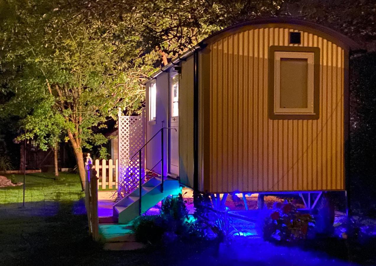 The Duck House Apartment Swansea Bagian luar foto