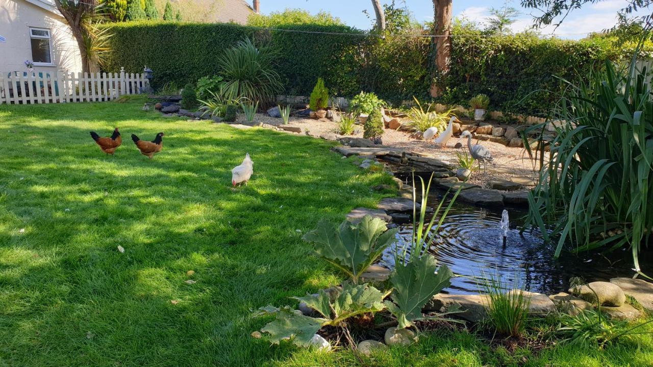 The Duck House Apartment Swansea Bagian luar foto