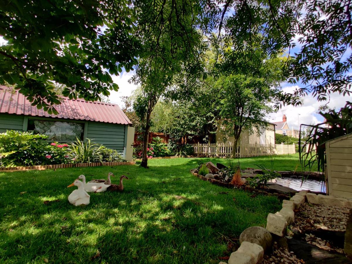The Duck House Apartment Swansea Bagian luar foto