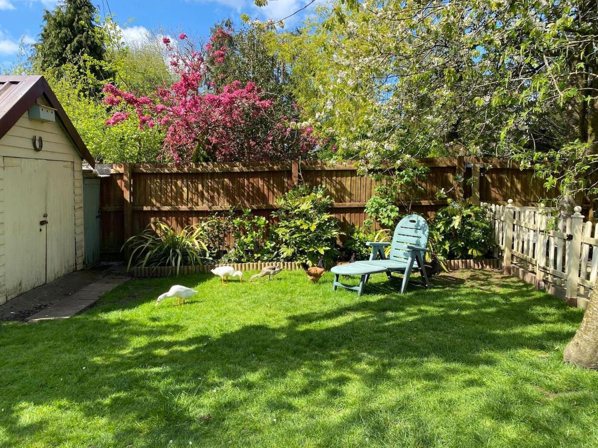The Duck House Apartment Swansea Bagian luar foto