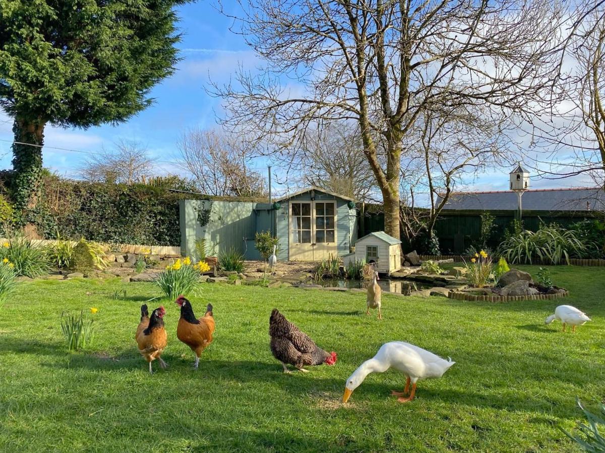 The Duck House Apartment Swansea Bagian luar foto