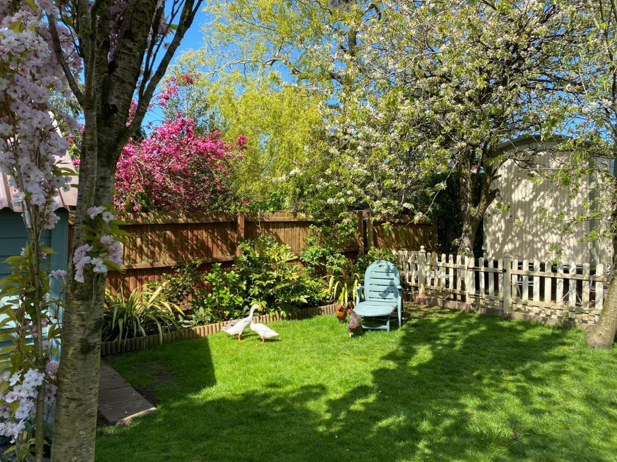 The Duck House Apartment Swansea Bagian luar foto